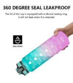 Bottle Gym Instructions 3