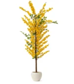 Flower Tree With Yellow Flowers, Elegant Flower Tree In Strong Plastic Pot