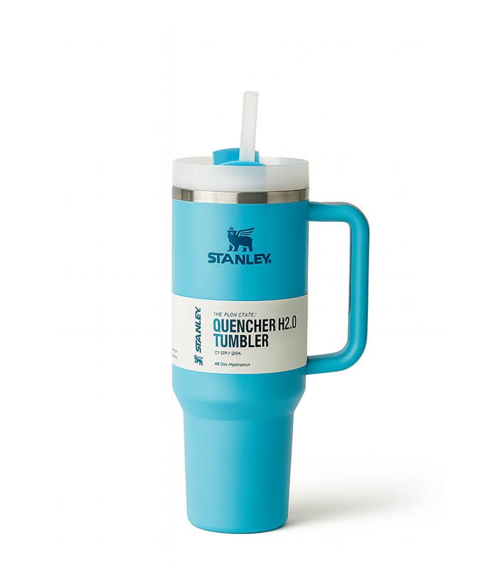 Stanley Cup Dark Cayan