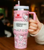 Hello Kitty Stainley Cup, 5 Colors Cup Stainless Steel