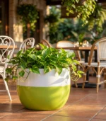 Premium Fiberglass Round Planter – Modern Dual-Tone Pot - Image 3